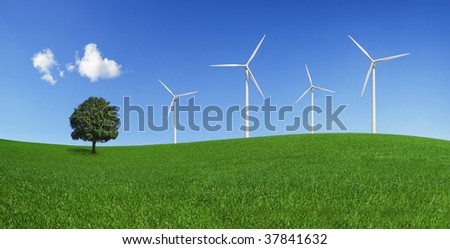Lonely tree and wind turbines on a green field. Green energy and environmental conservation symbols (XXXLarge).