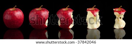 Life cycle of an apple. From the begining to the end of an apple being eaten. Black background with reflection.