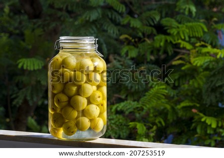 Pickled Indian Gooseberries in clear glass jar against green tree as background