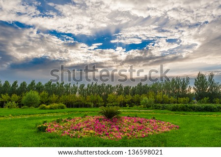 The flower bed under white clouds.China\'s heilongjiang Province, Daqing City, The flower bed under white clouds.