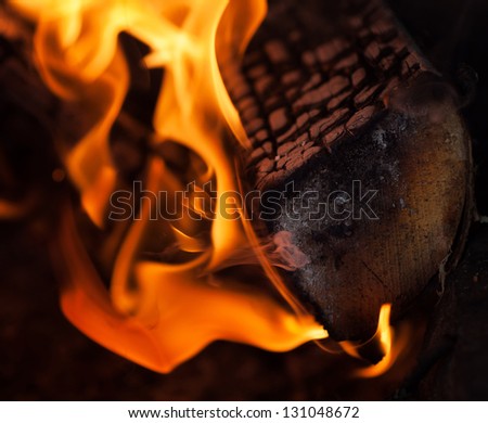 Closeup of fire, flames, smoke and a piece of wood in a camp fire
