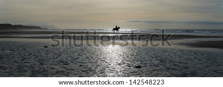 Silhouette of a horse rider on the beach.
