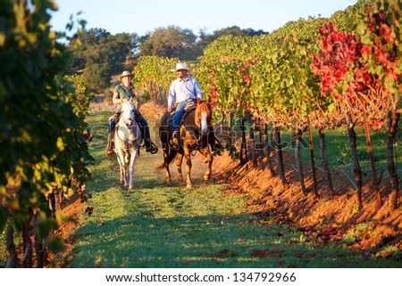 Horseback riding couple in a vineyard in autumn