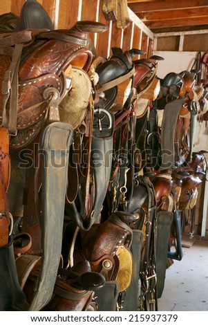 Tack room with Western saddles, bridles and gear, vertical
