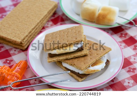 S\'mores--treats with graham crackers, toasted marshmallows and chocolate