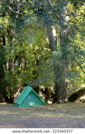 Sun-dappled campsite with green tent