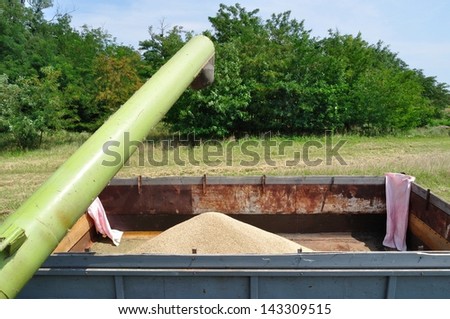 Combine harvester emptying grain into a truck