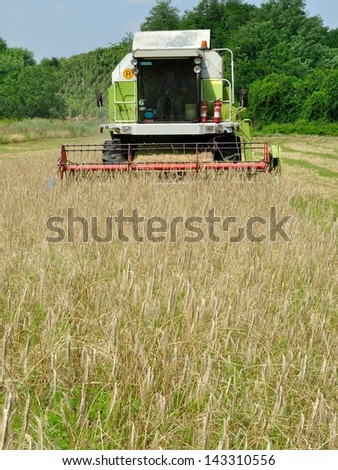 Front view of modern combine harvester in the wheat field during harvesting