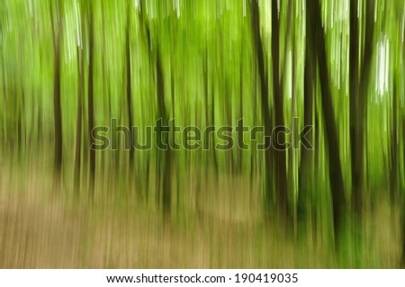 Abstract panning view of forest (blurred on purpose, no post processing effects)