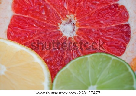 Fresh colorful tropical fruit slices - lemon, lime, red grapefruit