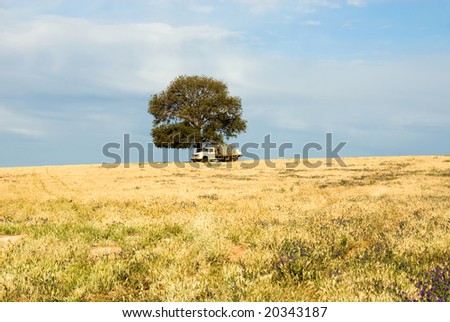 An old truck parked under a tree on a farm in South-Western New South Wales, Australia