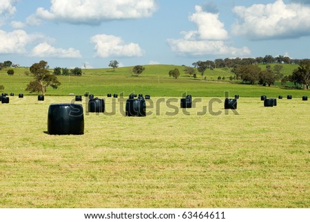 Rolls of hay, wrapped in black plastic, sitting in a field near Cootamundra, New South Wales, Australia