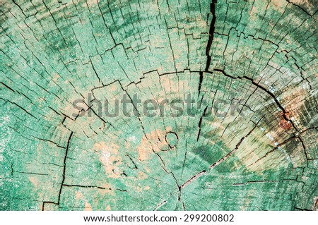 Abstract, green wavy pattern in the wood of a tree stump