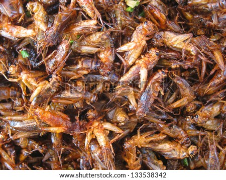 Fried insects are regional delicacies in many Asian countries like Cambodia, Thailand...