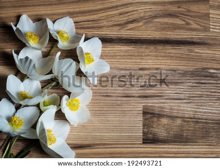 Spring flowers on wooden background - wood anemone, windflower, thimbleweed, smell fox ( Anemone nemorosa )