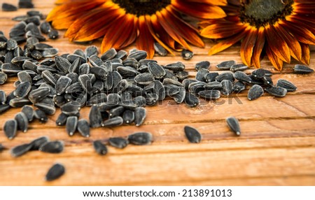 Red sunflowers and sunflower seeds on a wooden background. Selective focus. Harvest concept.