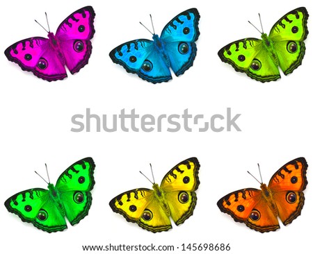 color enhanced butterfly Isolated on White