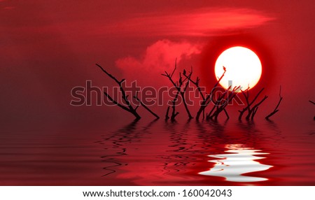 Sunrise in the morning reflected in water