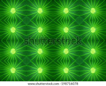 Seamless pattern of green leaf lotus abstract background texture