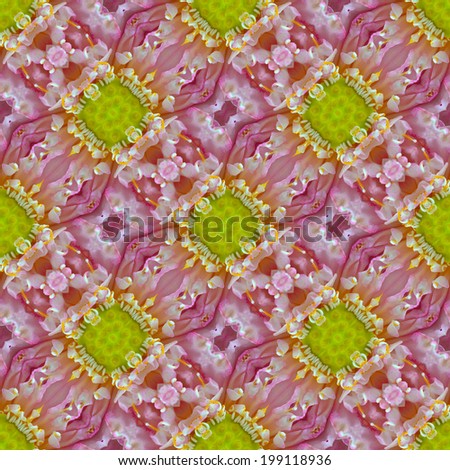 Colorful seamless pattern made from lotus  flower texture background
