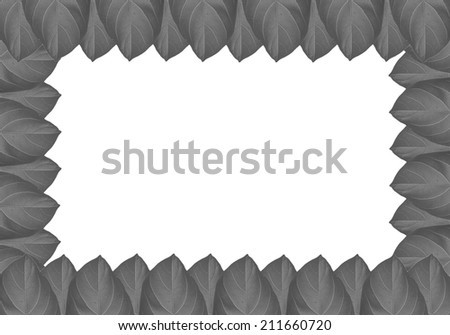 Black and White leaf frame isolated on white background