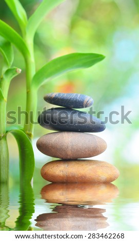 Grean orchid leaves over zen stones pyramid reflecting in water surface