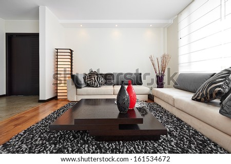 Interior design: Big modern living room