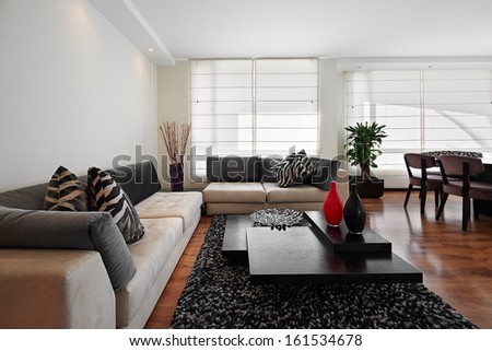 Interior Design: Big Modern Living Room