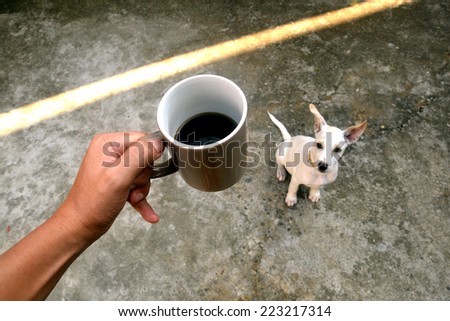 Holding a coffee mug and a dog