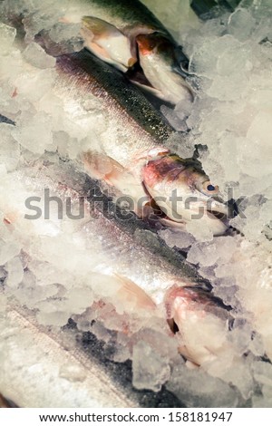 Frozen fishes.
