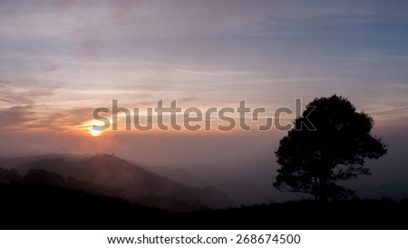 Sun rise and sun set background with a silhouette of tree.