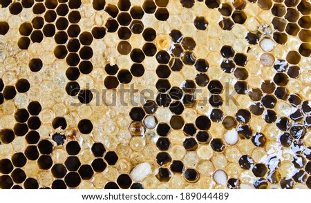 Beautiful honeycomb with honey, background