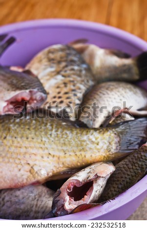 Fish processing for culinary use