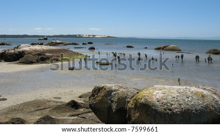 Australian Coastline Beach with Rocks