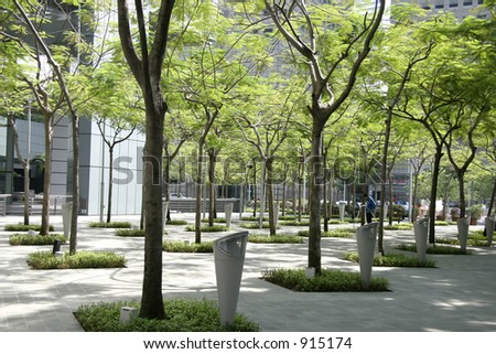 Rows of trees in the urban jungle making an artificial park