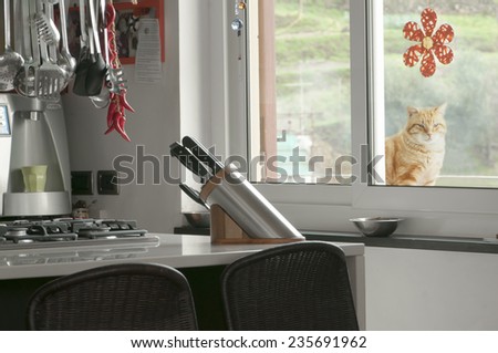 Modern kitchen interior natural stone countertop, cat plays behind the window
