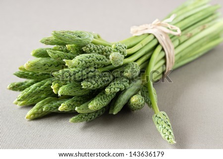 A bunch of wild wood asparagus on grey-brown tissue background