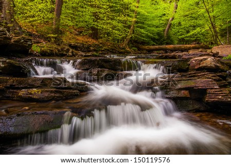 Cascades and bright spring greens on Glen Leigh, in Ricketts Glen State Park, Pennsylvania.