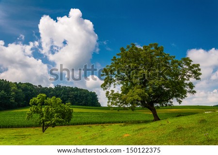 Beautiful partly-cloudy summer sky over trees and farm fields in Southern York County, PA.