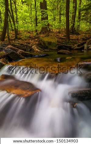 Small cascades along Glen Leigh, Ricketts Glen State Park, Pennsylvania.