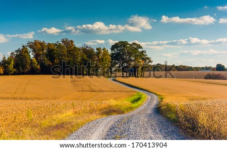Dirt road through farm fields in rural York County, Pennsylvania.