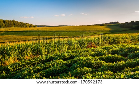 Evening light on rolling hills and farm fields in rural York County, Pennsylvania.