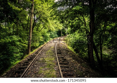 Railroad tracks through a forest in York County, Pennsylvania.
