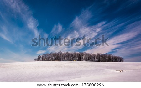 Wispy clouds over a cluster of trees and snow covered farm fields in rural Carroll County, Maryland.