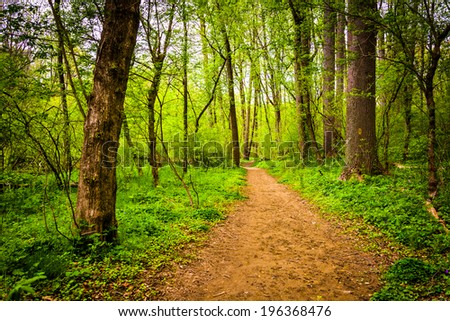 Trail through the forest at Lancaster County Central Park, Pennsylvania.