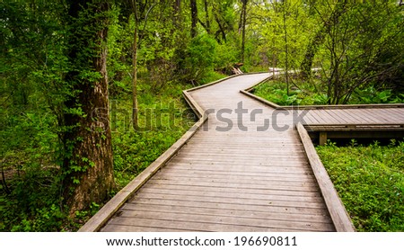Boardwalk trail through the forest at Wildwood Park in Harrisburg, Pennsylvania.