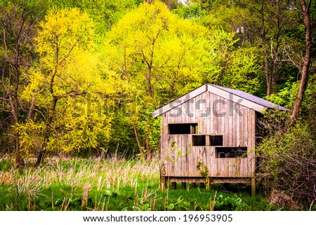 Bird blind and spring color at Wildwood Park in Harrisburg, Pennsylvania.