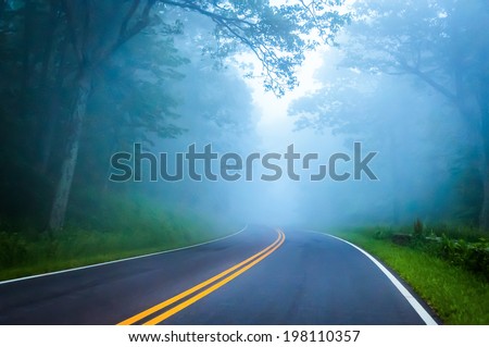 Dense fog on Skyline Drive in Shenandoah National Park, Virginia.