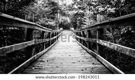 Walking bridge on the Limberlost Trail in Shenandoah National Park, Virginia.