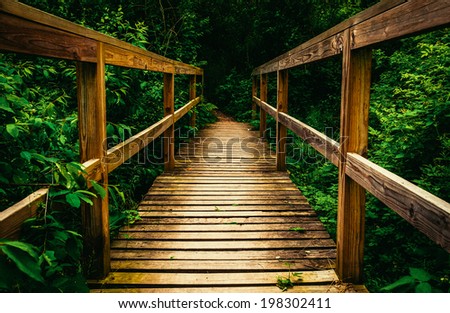 Small bridge on a trail in Codorus State Park, Pennsylvania.